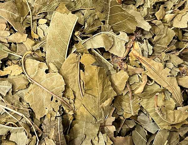 Peach leaves